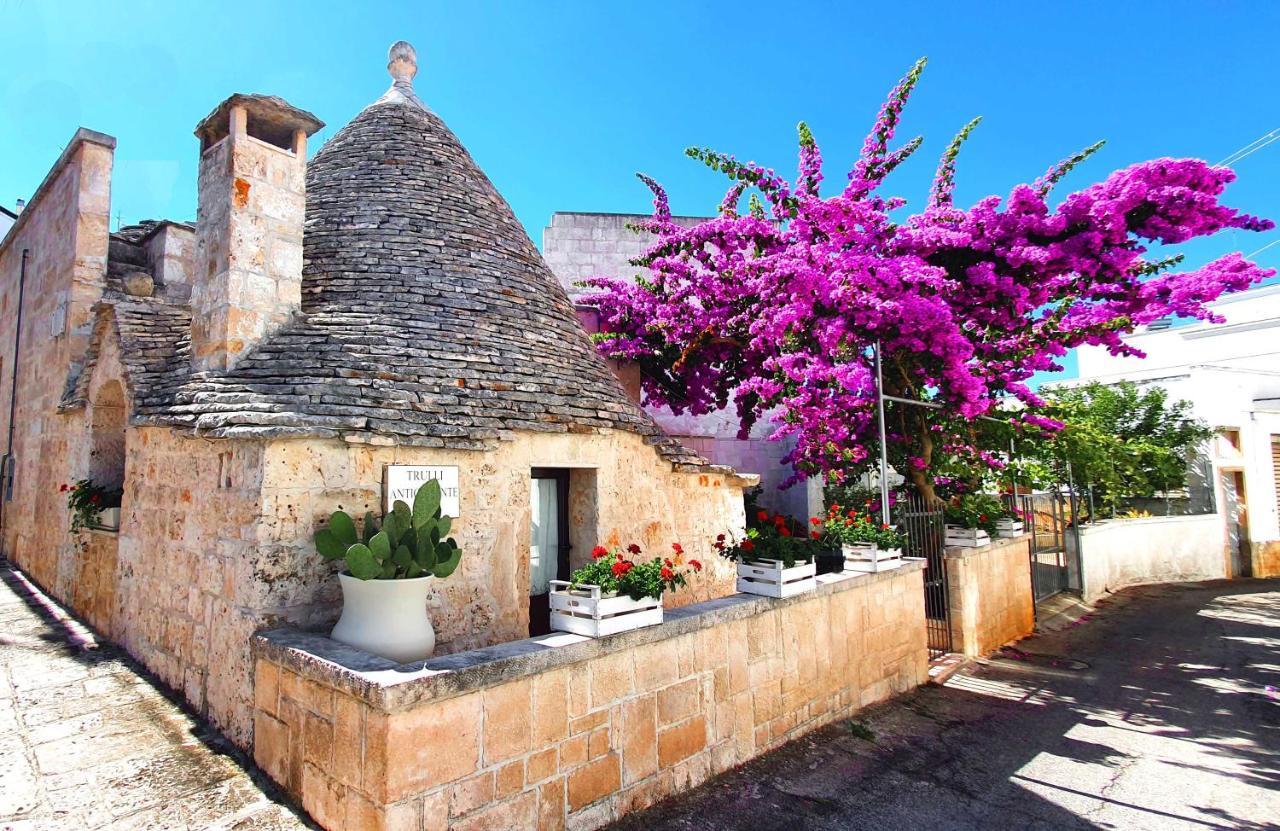 阿尔贝罗贝洛Trulli Antica Fonte住宿加早餐旅馆 外观 照片