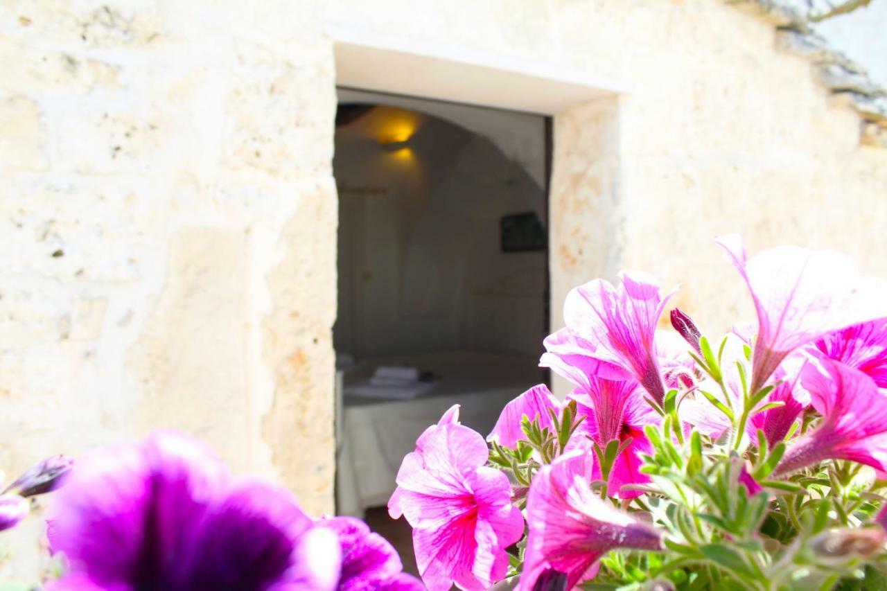 阿尔贝罗贝洛Trulli Antica Fonte住宿加早餐旅馆 外观 照片