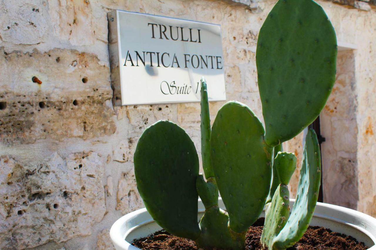 阿尔贝罗贝洛Trulli Antica Fonte住宿加早餐旅馆 外观 照片