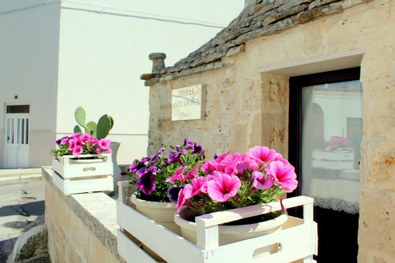 阿尔贝罗贝洛Trulli Antica Fonte住宿加早餐旅馆 外观 照片