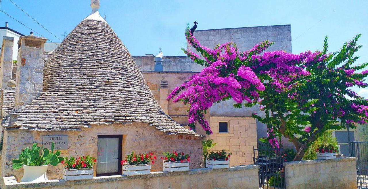 阿尔贝罗贝洛Trulli Antica Fonte住宿加早餐旅馆 外观 照片